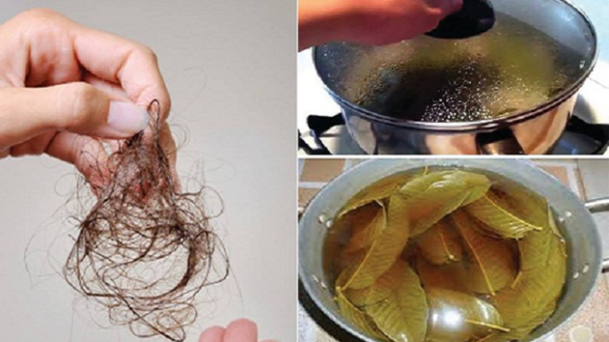 how-to-finally-stop-hair-loss-make-it-your-hair-grow-faster-and-stronger-than-ever