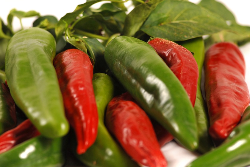 10/15/2008: Red and green chile peppers (photo by Darren Phillips)